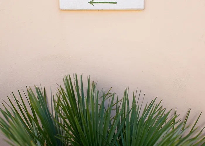 Cosy, & 5* 쎙뜨호뻬